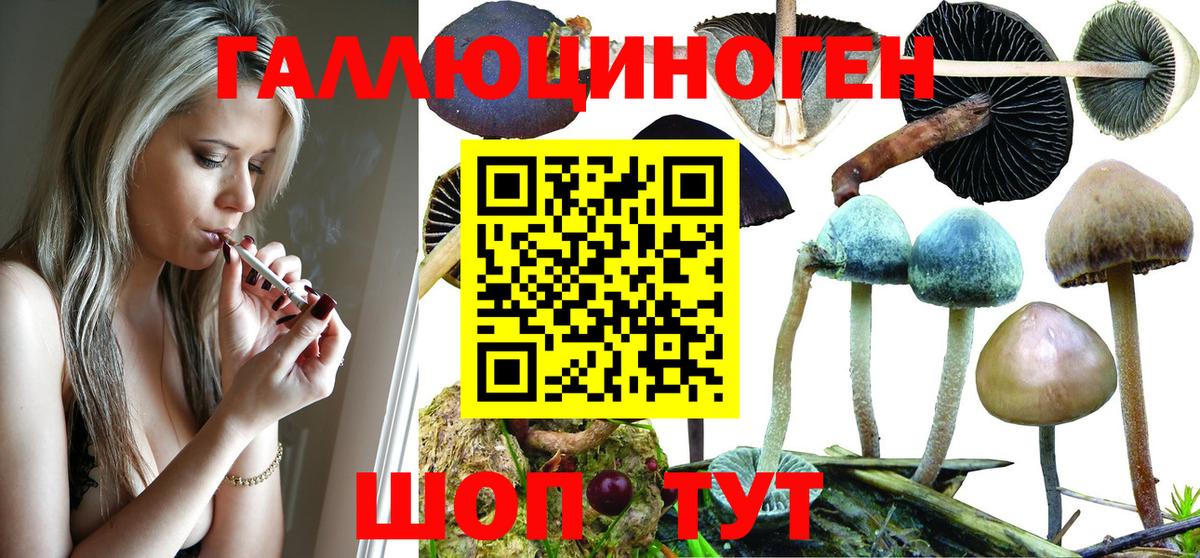 Псилоцибиновые грибы мухоморы Усинск